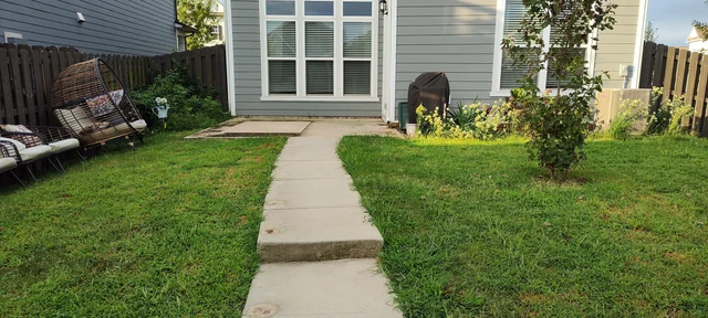 Backyard concrete walkway and patio before cleaning with visible dirt and organic buildup.