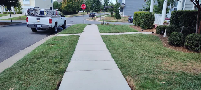 Clean residential sidewalk after professional pressure washing in Pineville, NC.